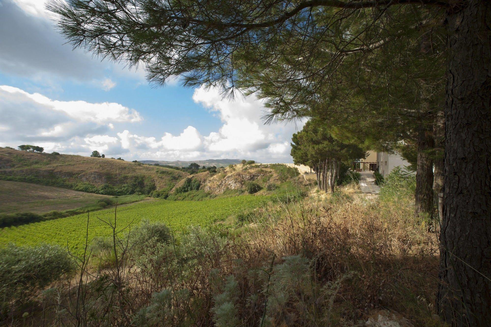 Villa Feudo Del Biviere à Santa Ninfa Extérieur photo